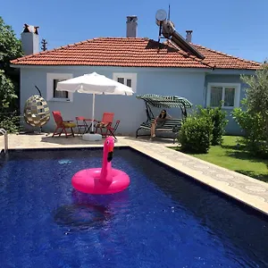 book here